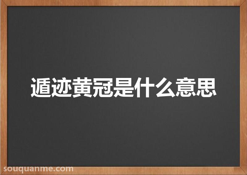 遁迹黄冠是什么意思 遁迹黄冠的拼音 遁迹黄冠的成语解释